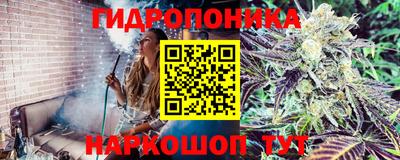 прущие крисы Коммунар